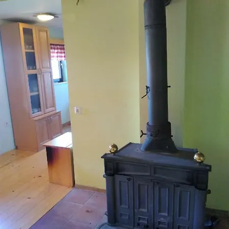 Kopnik