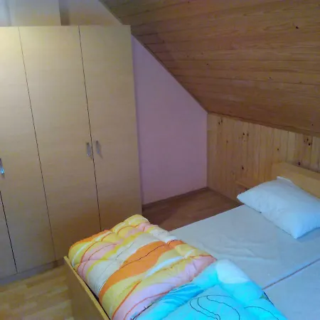 Kopnik