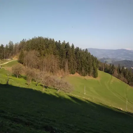 Kopnik *