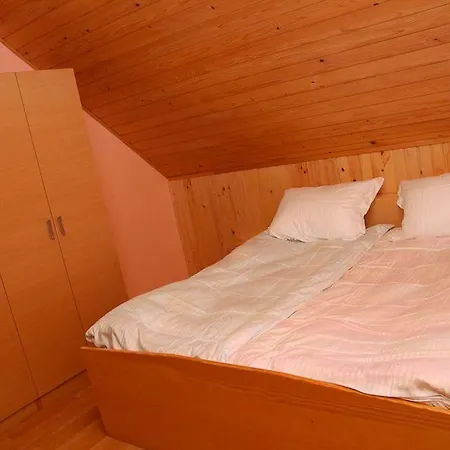Apartma Kopnik